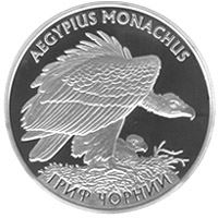 Гриф чорний