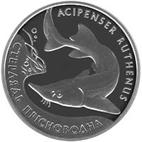 Стерлядь прісноводна (Срібло)
