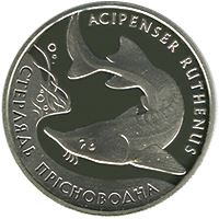 Стерлядь прісноводна