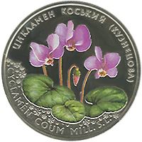 Цикламен коський (Кузнецова)