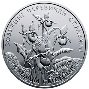Зозулині черевички справжні (Срібло)