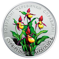 Зозулині черевички справжні 