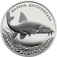 Марена дніпровська (Срібло)