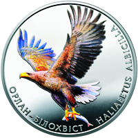Орлан-білохвіст