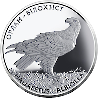 Орлан-білохвіст (Срібло)